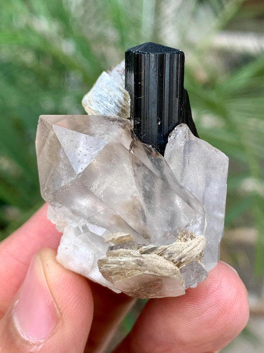 Schorl Black Tourmaline with Quartz combined Specimen from Pakistan - 39 Gram