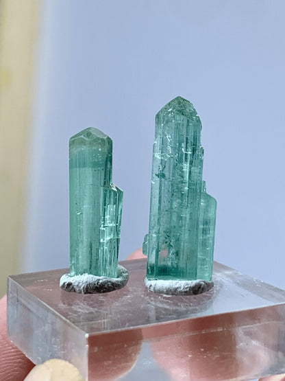 Natural terminated Blue Tourmaline Crystals Pair from Afghanistan - 11.00 Carats