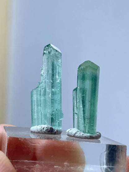 Natural terminated Blue Tourmaline Crystals Pair from Afghanistan - 11.00 Carats