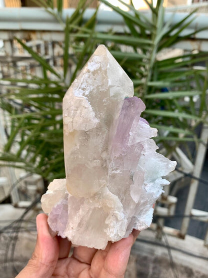 Fluorescent Pink Kunzite with Indicolite tourmalines and Quartz from Afghanistan - 380 Gram
