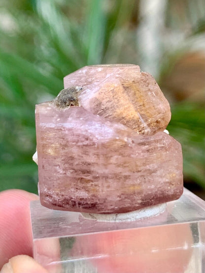 DOuble Terminated FLuorescent Pink Apatite Crsytal from Pakistan - 62.00 Carats