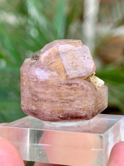 DOuble Terminated FLuorescent Pink Apatite Crsytal from Pakistan - 62.00 Carats