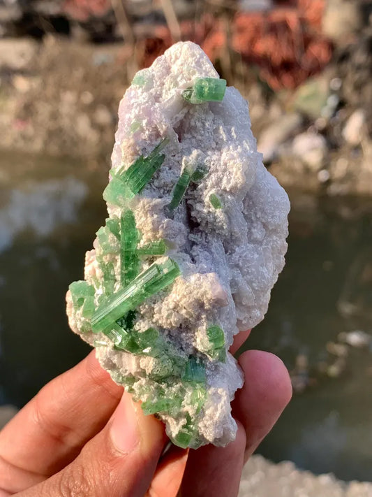 Blusih Green Tourmaline Crystals on Lepidolite from Afghanistan - 70 Gram