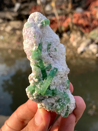 Blusih Green Tourmaline Crystals on Lepidolite from Afghanistan - 70 Gram