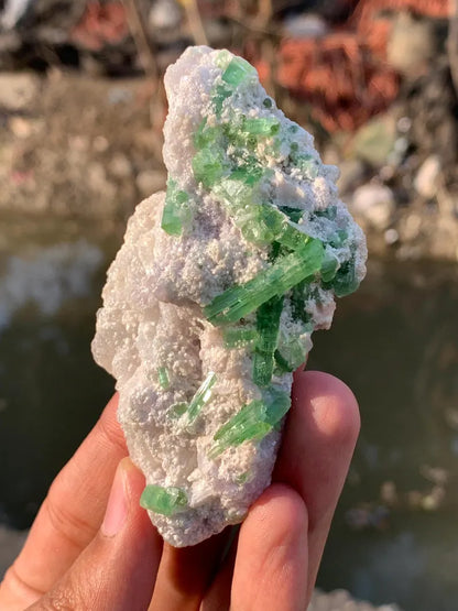 Blusih Green Tourmaline Crystals on Lepidolite from Afghanistan - 70 Gram