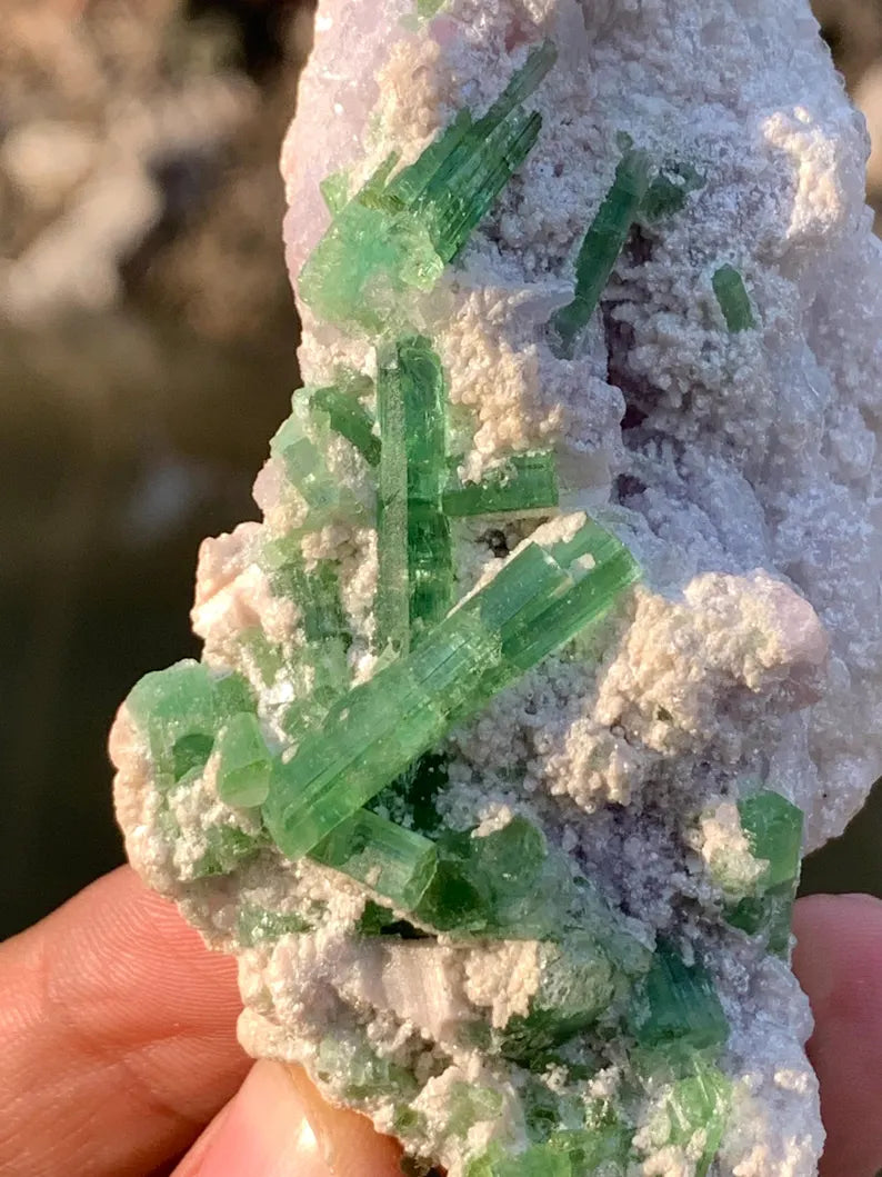 Blusih Green Tourmaline Crystals on Lepidolite from Afghanistan - 70 Gram