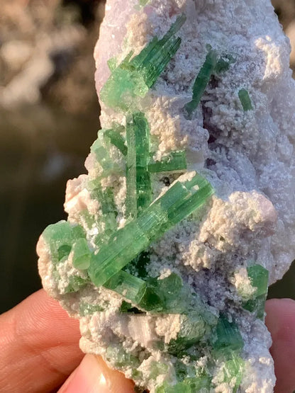 Blusih Green Tourmaline Crystals on Lepidolite from Afghanistan - 70 Gram