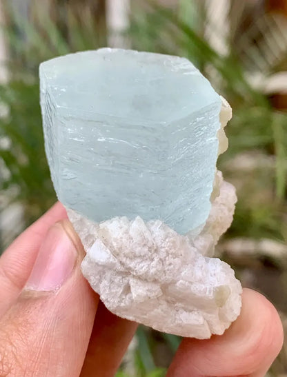 Collectors Choice Blue Aquamarine Crystal with Albite Matrix from Pakistan - 58 Gram