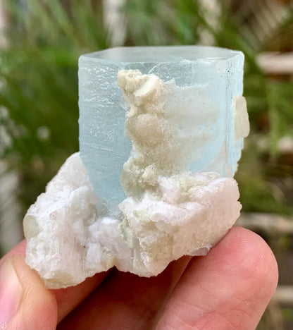 Collectors Choice Blue Aquamarine Crystal with Albite Matrix from Pakistan - 58 Gram
