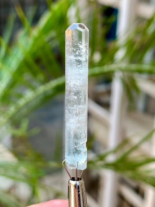 Gemmy Blue Aquamarine for Collectors from Pakistan - 11.50 Carats
