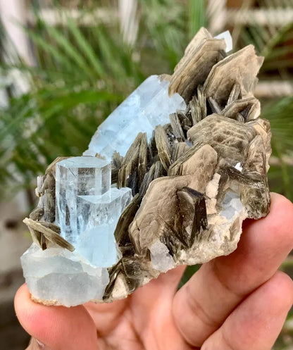 Gemmy Blue Aquamarine Crystals with Star Mica from Pakistan - 110 Gram