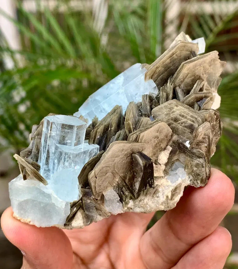 Gemmy Blue Aquamarine Crystals with Star Mica from Pakistan - 110 Gram