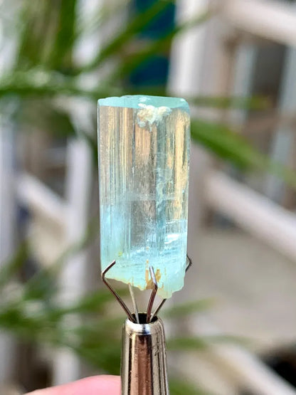 Gemmy Blue Aquamarine Crystal from Pakistan - 14.00 Carats