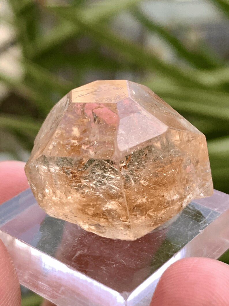 Dimaond Cut Golden Topaz Crystal from Pakistan - 63.0 Carats
