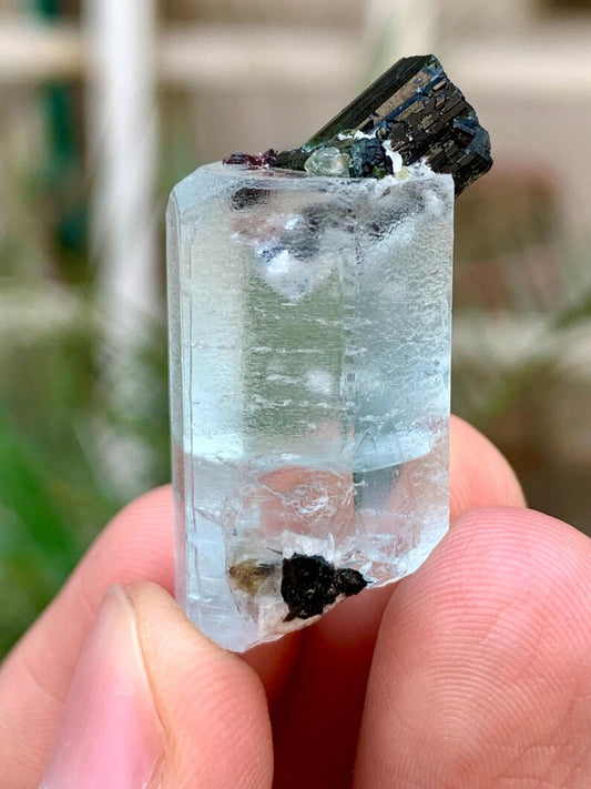 Transparent Blue Aquamarine with Black Tourmaline Combined Specimen from Pakistan - 55.00 Carats