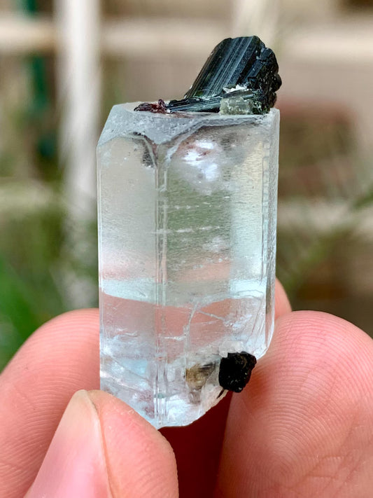 Transparent Blue Aquamarine with Black Tourmaline Combined Specimen from Pakistan - 55.00 Carats