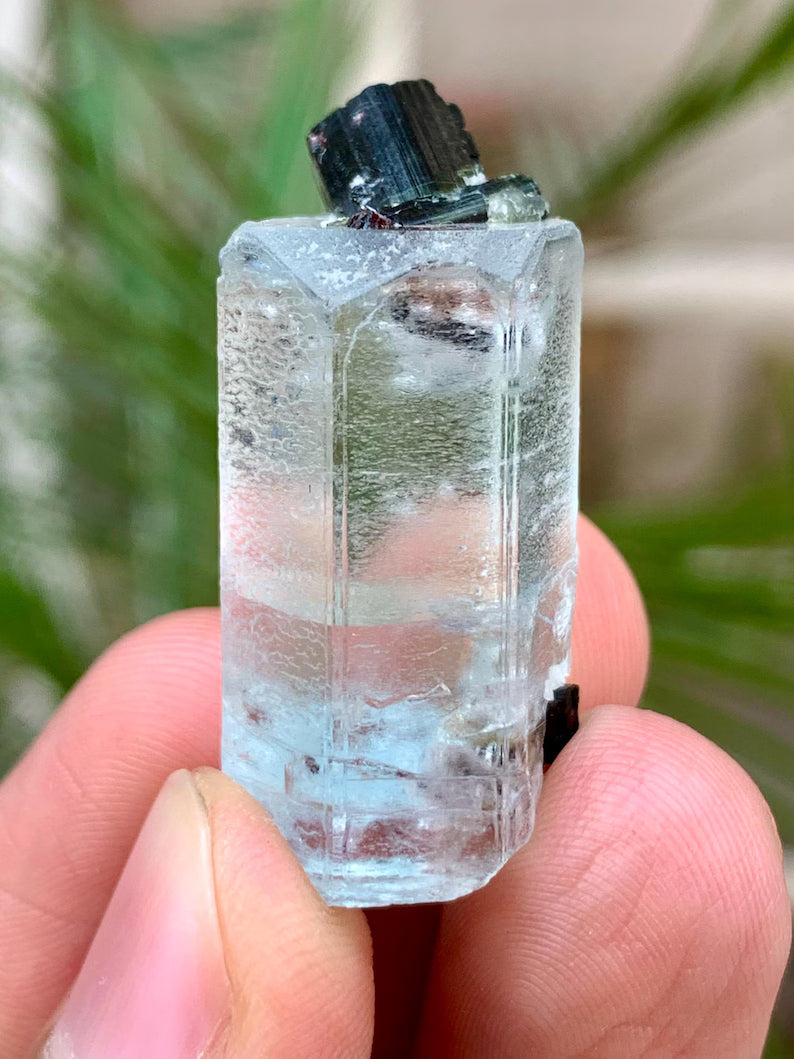Transparent Blue Aquamarine with Black Tourmaline Combined Specimen from Pakistan - 55.00 Carats