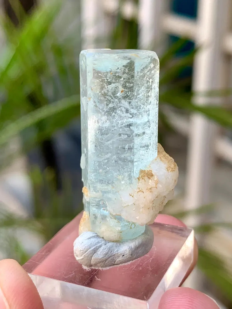 Sky Blue Aquamarine Crystal from Afghanistan - 55.00 Carats
