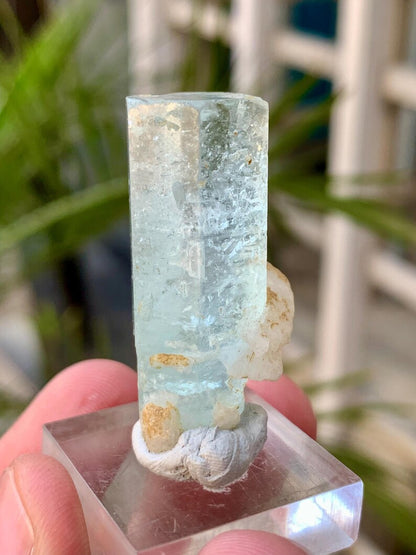 Sky Blue Aquamarine Crystal from Afghanistan - 55.00 Carats