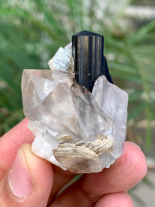 Schorl Black Tourmaline with Quartz combined Specimen from Pakistan - 39 Gram