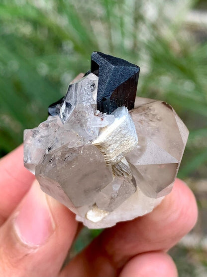Schorl Black Tourmaline with Quartz combined Specimen from Pakistan - 39 Gram