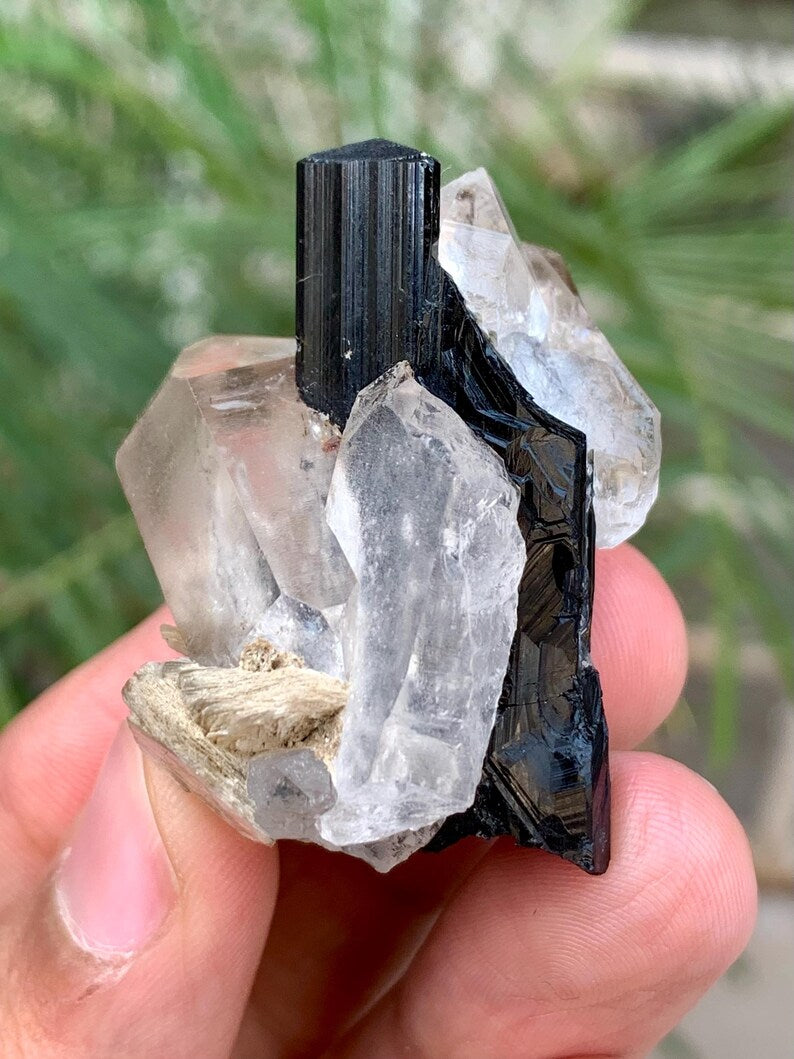 Schorl Black Tourmaline with Quartz combined Specimen from Pakistan - 39 Gram