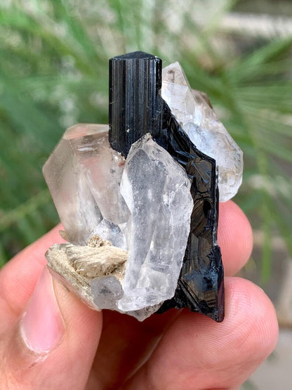 Schorl Black Tourmaline with Quartz combined Specimen from Pakistan - 39 Gram