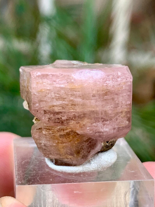 DOuble Terminated FLuorescent Pink Apatite Crsytal from Pakistan - 62.00 Carats