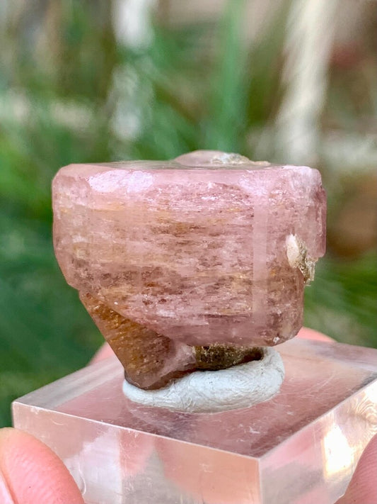 DOuble Terminated FLuorescent Pink Apatite Crsytal from Pakistan - 62.00 Carats
