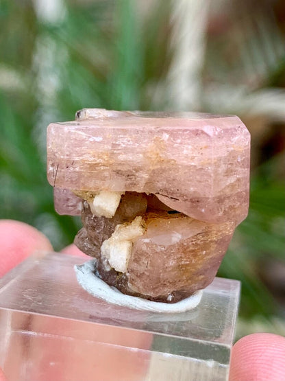 DOuble Terminated FLuorescent Pink Apatite Crsytal from Pakistan - 62.00 Carats