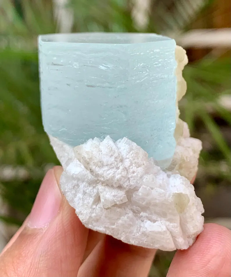 Collectors Choice Blue Aquamarine Crystal with Albite Matrix from Pakistan - 58 Gram