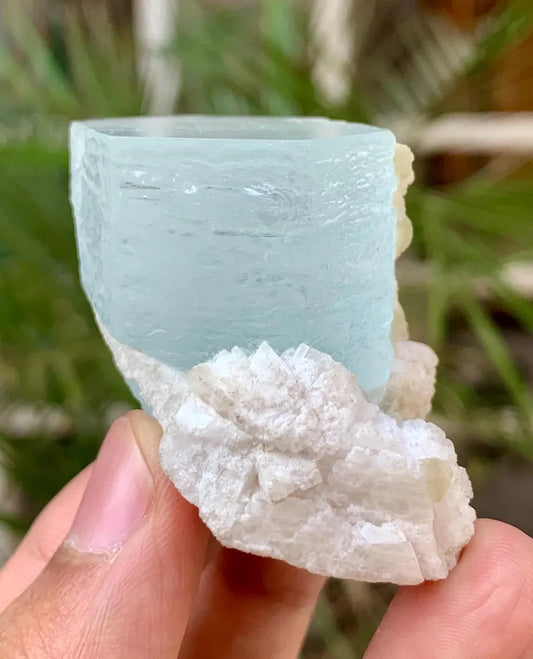 Collectors Choice Blue Aquamarine Crystal with Albite Matrix from Pakistan - 58 Gram