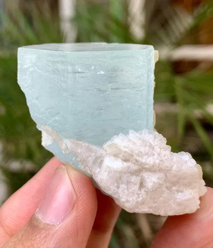 Collectors Choice Blue Aquamarine Crystal with Albite Matrix from Pakistan - 58 Gram