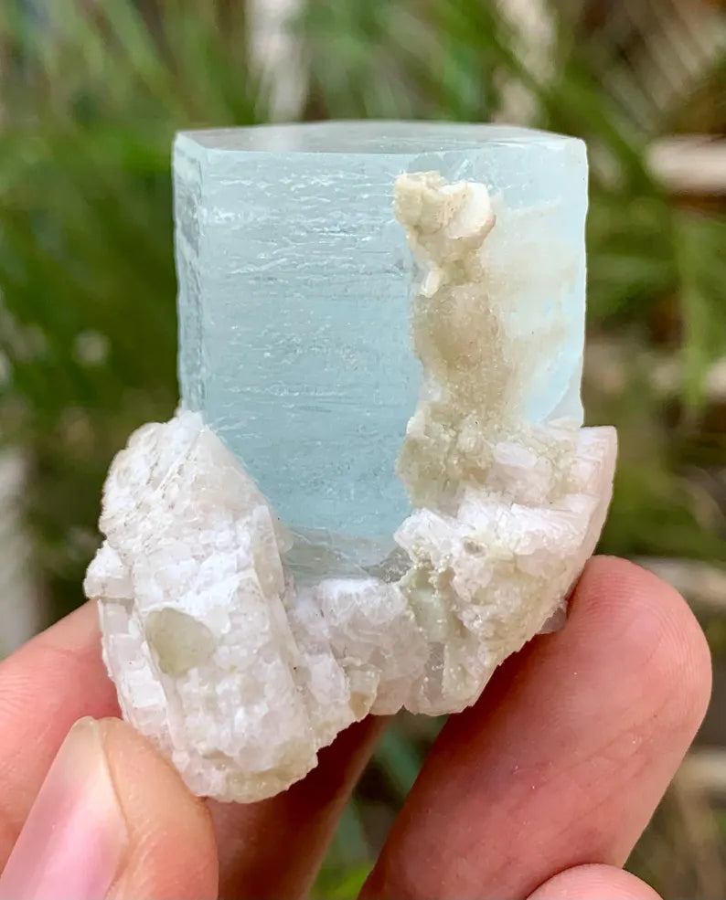 Collectors Choice Blue Aquamarine Crystal with Albite Matrix from Pakistan - 58 Gram