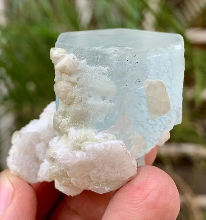 Collectors Choice Blue Aquamarine Crystal with Albite Matrix from Pakistan - 58 Gram