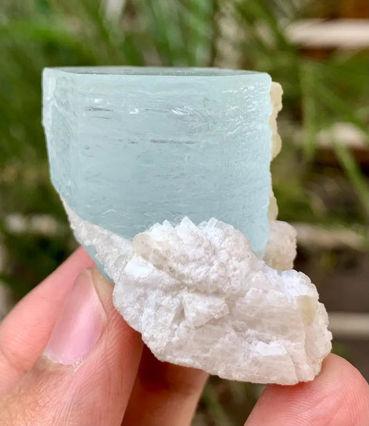 Collectors Choice Blue Aquamarine Crystal with Albite Matrix from Pakistan - 58 Gram