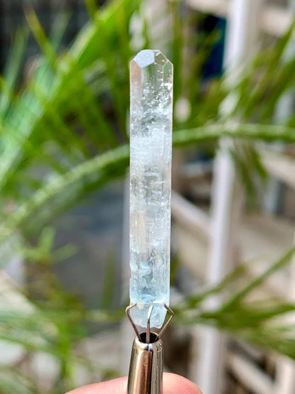 Gemmy Blue Aquamarine for Collectors from Pakistan - 11.50 Carats