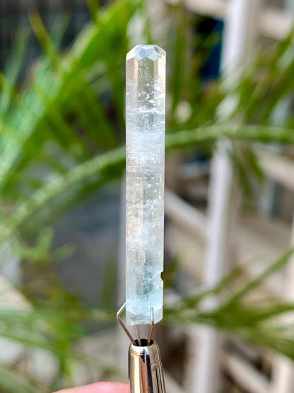 Gemmy Blue Aquamarine for Collectors from Pakistan - 11.50 Carats