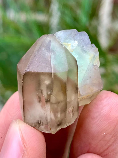 Bicolor Pink and Green Fluorite Crystal with Quartz from Pakistan - 17 Gram