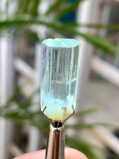 Gemmy Blue Aquamarine Crystal from Pakistan - 14.00 Carats