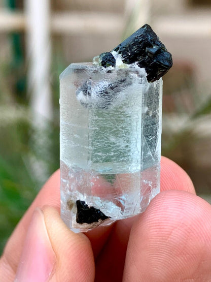 Transparent Blue Aquamarine with Black Tourmaline Combined Specimen from Pakistan - 55.00 Carats