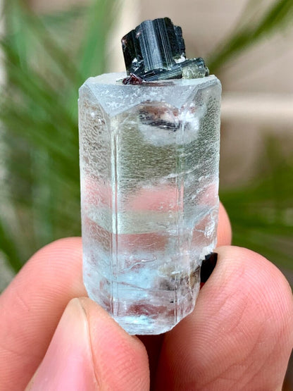 Transparent Blue Aquamarine with Black Tourmaline Combined Specimen from Pakistan - 55.00 Carats