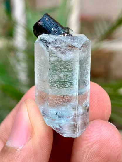 Transparent Blue Aquamarine with Black Tourmaline Combined Specimen from Pakistan - 55.00 Carats
