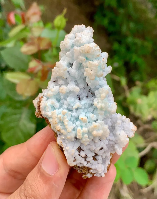 Bubble Chrysocolla Aragonite Specimen on Matrix from Pakistan - 52 Gram