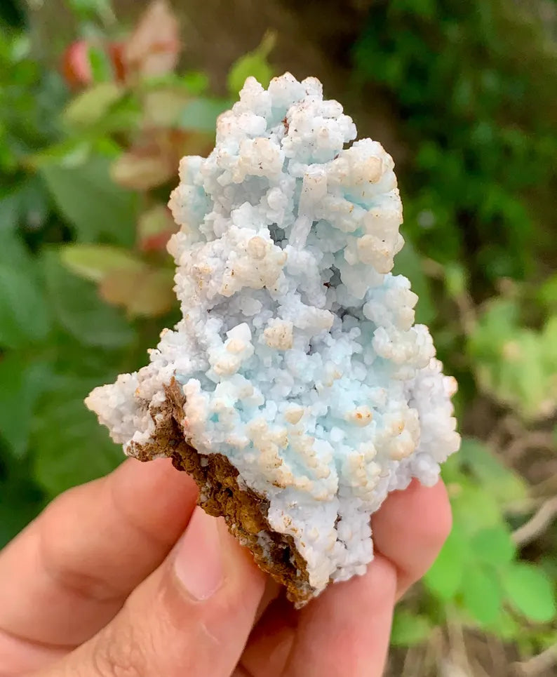 Bubble Chrysocolla Aragonite Specimen on Matrix from Pakistan - 52 Gram