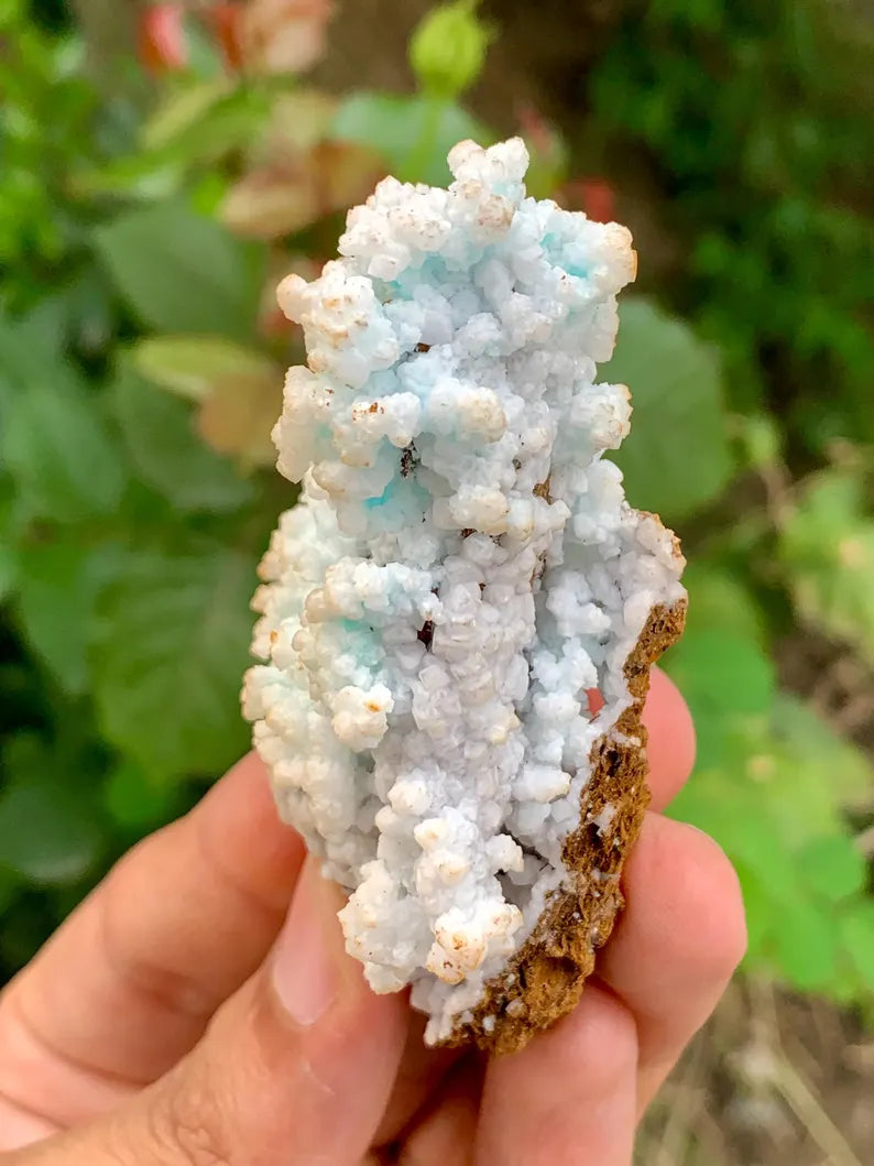Bubble Chrysocolla Aragonite Specimen on Matrix from Pakistan - 52 Gram