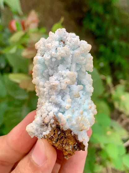 Bubble Chrysocolla Aragonite Specimen on Matrix from Pakistan - 52 Gram