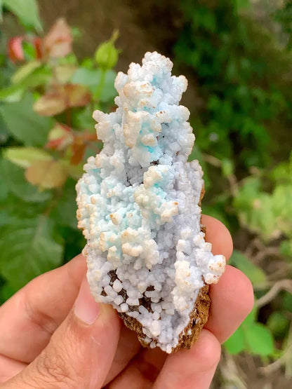 Bubble Chrysocolla Aragonite Specimen on Matrix from Pakistan - 52 Gram