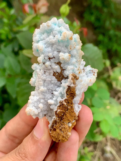 Bubble Chrysocolla Aragonite Specimen on Matrix from Pakistan - 52 Gram