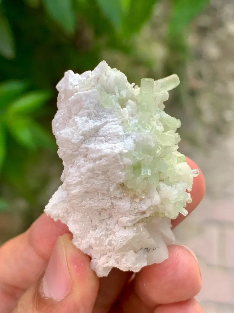 Natural green Tourmaline Crystals Cluster on Matrix from Pakistan - 31 Gram